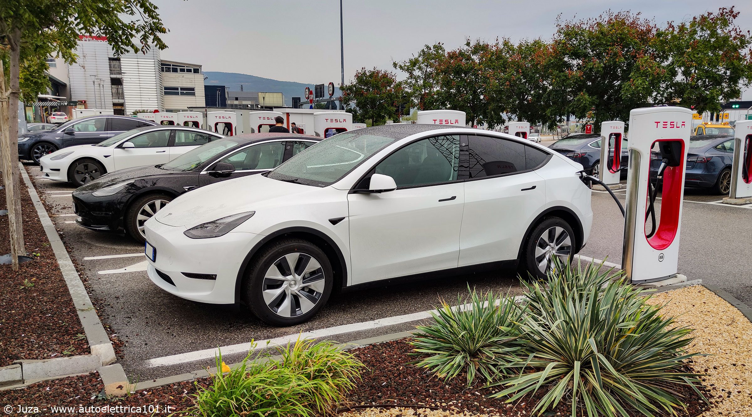 Tesla Model Y vista dal vivo