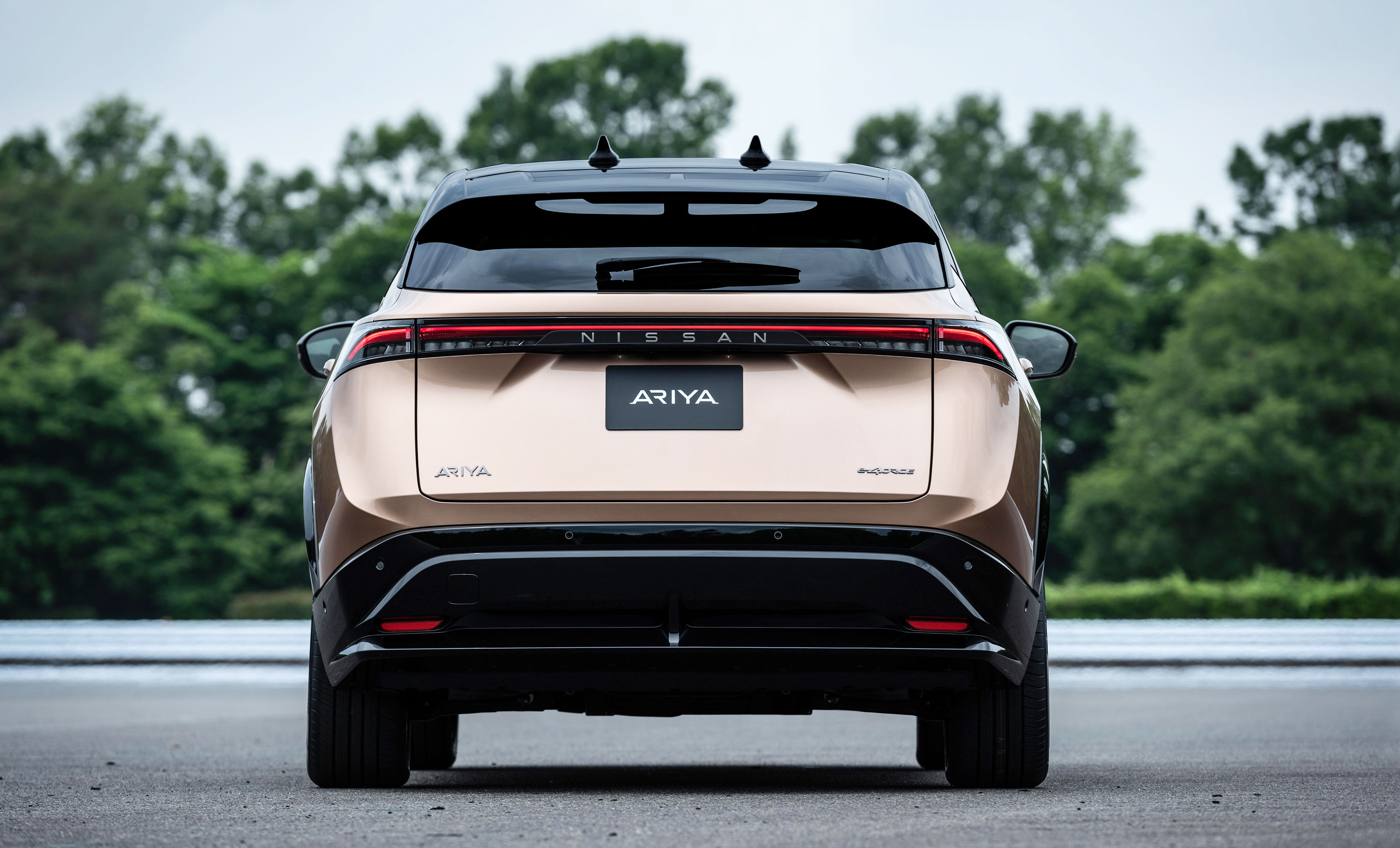 Nissan Ariya, vista posteriore