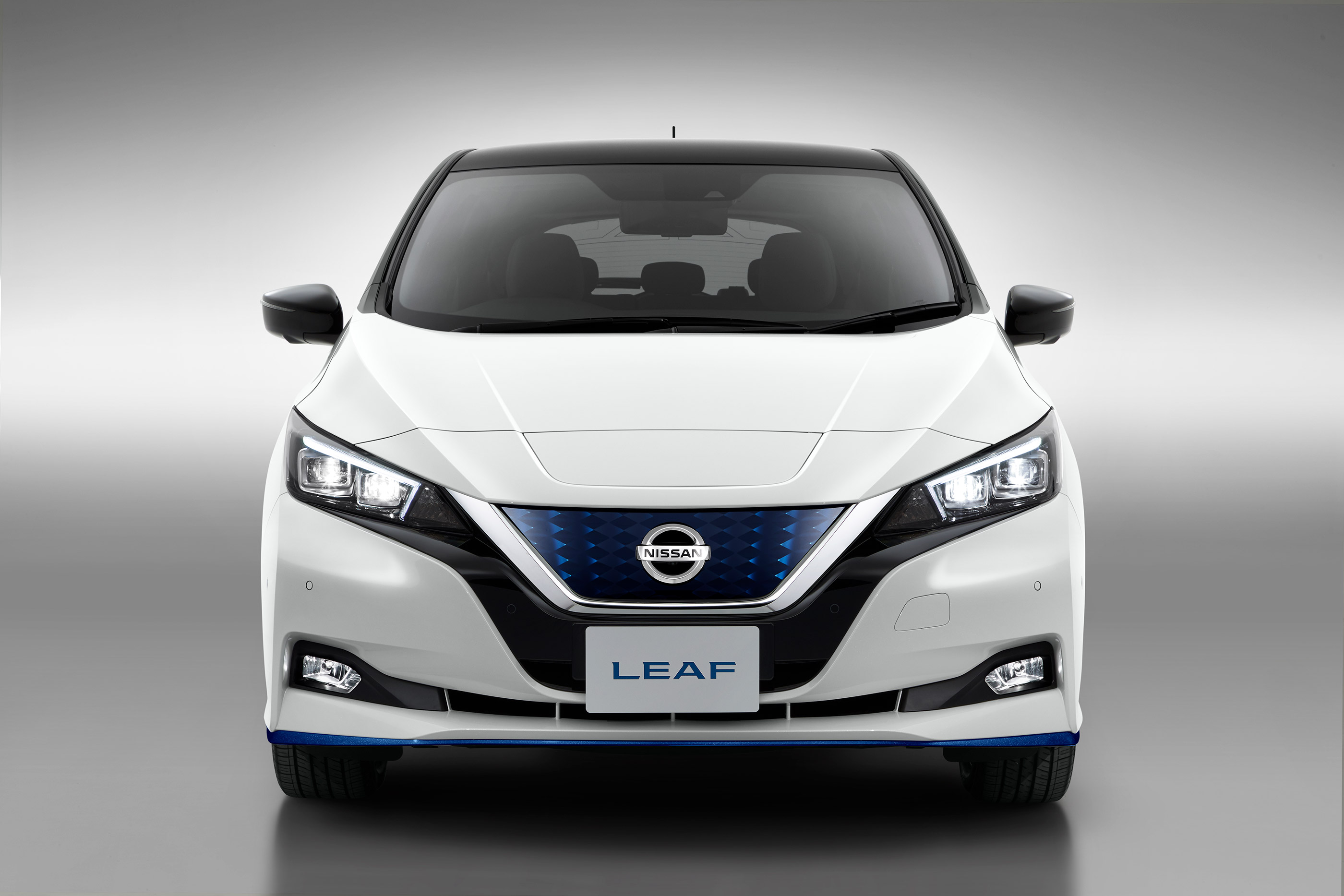 Nissan Leaf, vista frontale